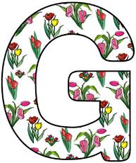 Tulpen-Buchstabe-G.jpg